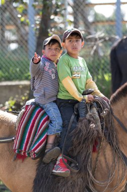 Sangolqui, Ekvador'da geri çocuklar atlı