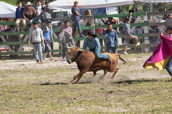 Équitation de taureau dans Sangolqui, Equateur — Photo