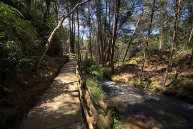 Medellin popüler Arvi parkta yürüyüş yolu