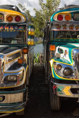 tavuk otobüs San Pedro la Laguna, Guatemala