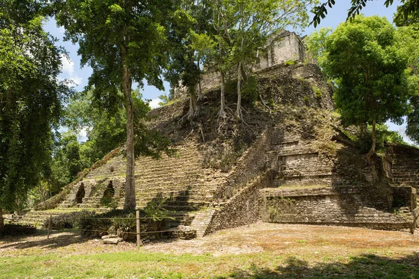 Dzibanche メキシコのマヤ遺跡 — ストック写真