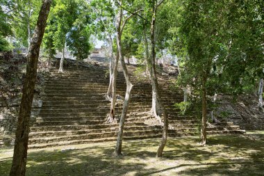 Meksika Kinichna Harabeleri 