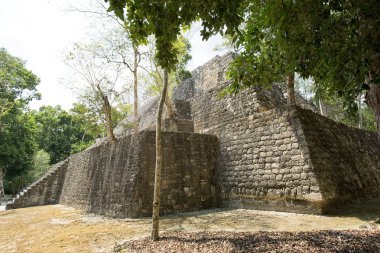 Antik Maya yapısında ormana Calakmul Arkeolojik Sit