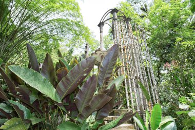 Xilitla Meksika 'daki Las Pozas bahçeleri 