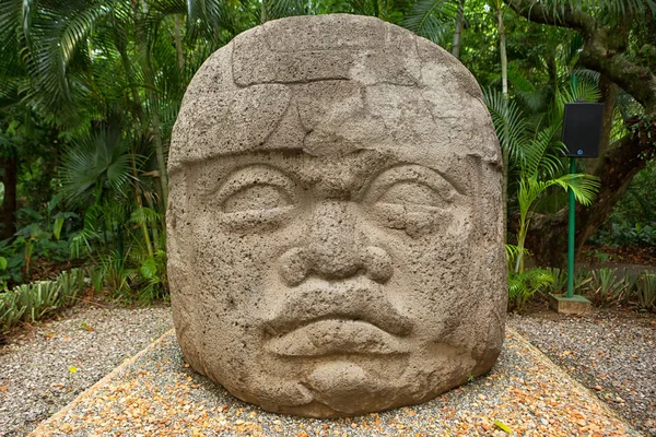 Olmec bazalt kafa Meksika 