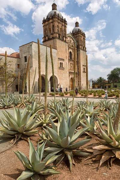 Katedry Santo Domingo w Oaxaca w Meksyku — Zdjęcie stockowe