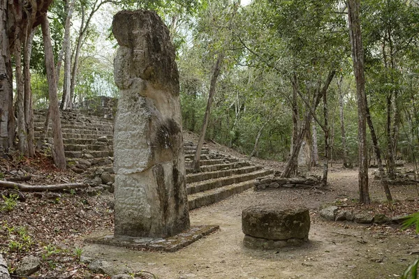 Ruines de Calakmul en le Mexique — Photo