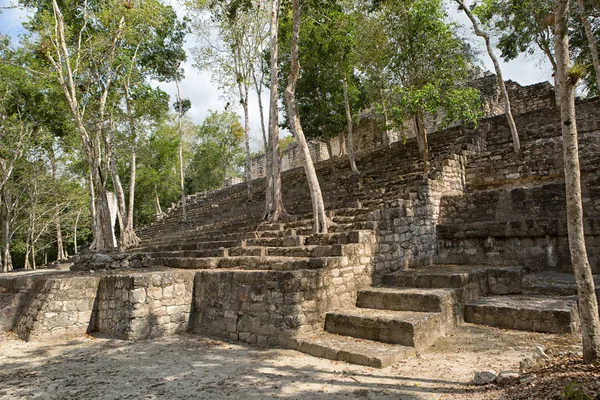 Träd som växer ur strukturer Calakmul ruinerna i Mexiko — Stockfoto