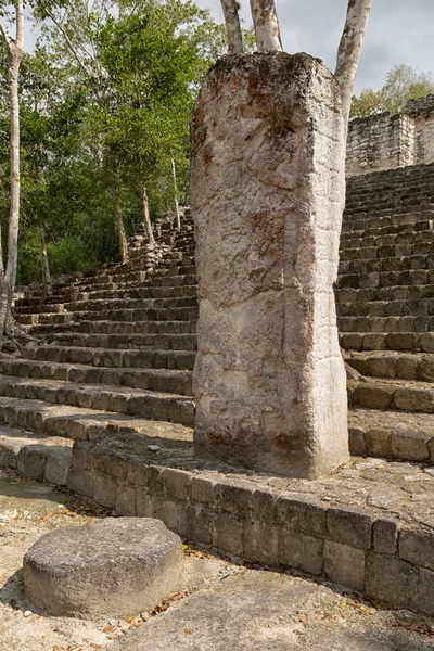 Estela mayan em ruínas de Calakmul em México — Fotografia de Stock