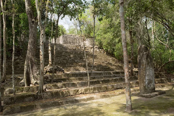 Calakmul maya arruina México — Foto de Stock