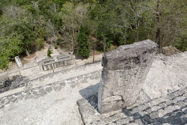 Vista da estuque número um em Calakmul México — Fotografia de Stock