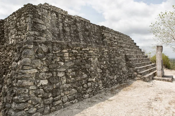 Calakmul byl ruiny v Mexiku — Stock fotografie