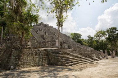 Meksika Calakmul Sit Alanı