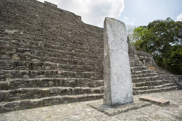 Maya stelae en las ruinas de Calakmul México — Foto de Stock