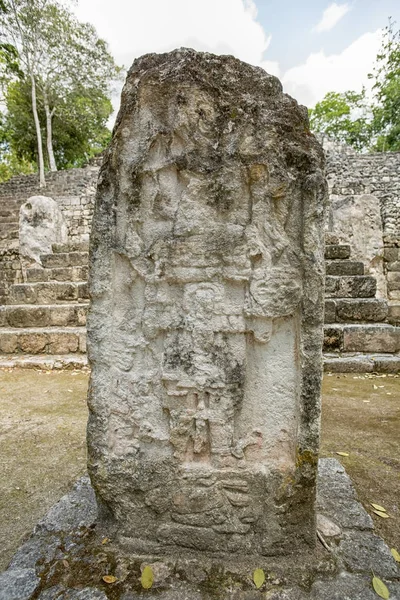 Mayan stelae at the Calakmul ruins Mexico — Stock Photo, Image