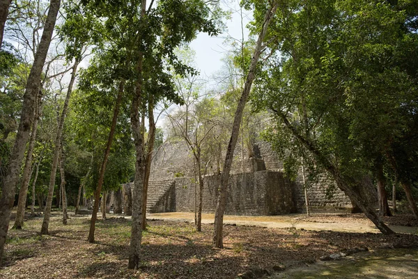 Site archéologique de Calakmul — Photo