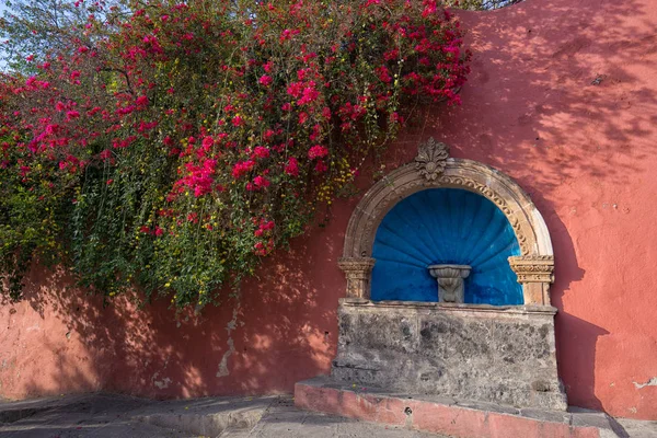 Colonial fountain with overhanging blooming plant on the wall — Stock Photo, Image