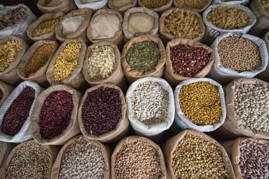 toplu kurutulmuş gıdalar Amazonas üretmek piyasadaki Ibarra, Ekvador