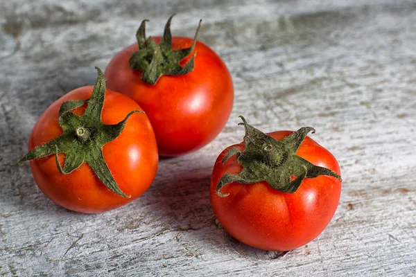 Small size organic tomatoes in Ecuador — Stock Photo, Image