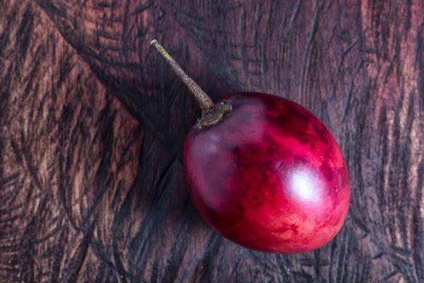 Cyfomandra grubolistna drzewo pomidor zbliżenie — Zdjęcie stockowe