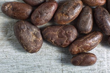 çikolata fasulye closeup Ekvator
