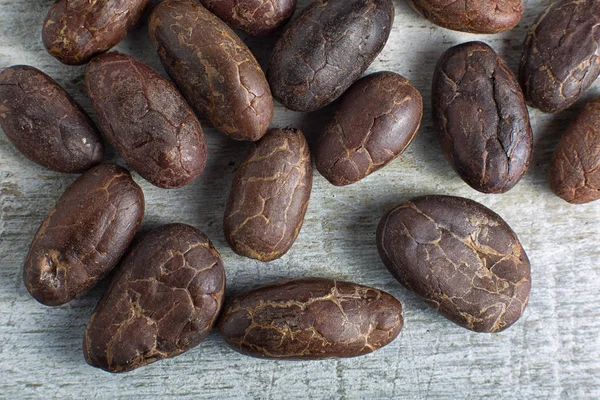エクアドルのチョコレート豆のクローズ アップ — ストック写真