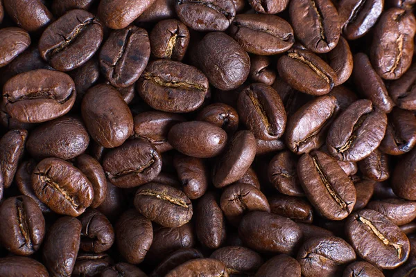 Arabica coffee beans in Ecuador — Stock Photo, Image