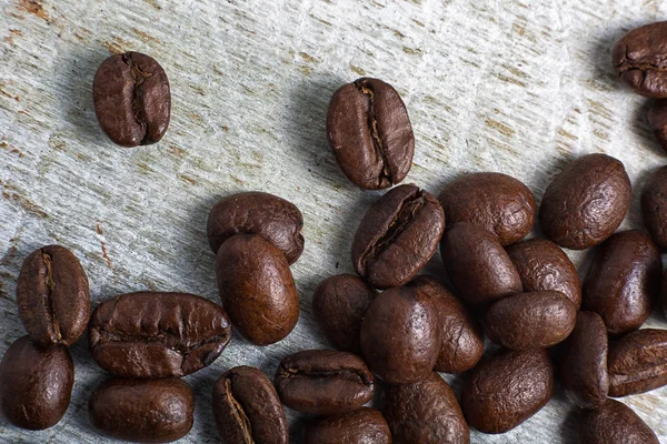 Chicchi di caffè arabica in Ecuador — Foto Stock