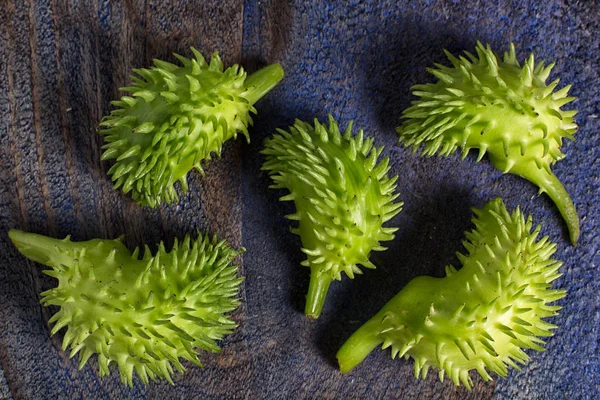 Vilda achocha ätliga vegetabiliska närbild i Ecuador — Stockfoto