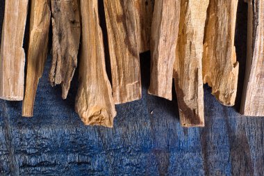 Palo santo ahşap closeup Ekvator