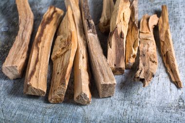 Palo santo ahşap tütsü closeup Ekvator