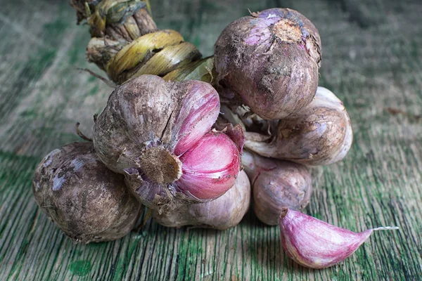 Ekologisk vitlök variation i Ecuador — Stockfoto