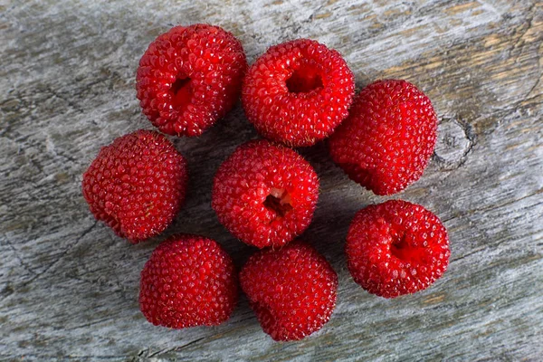 Raspberry variety closeup on rustic wood surface — Stock Photo, Image