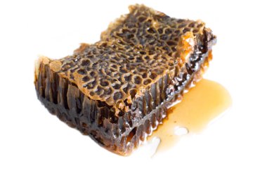 Okaliptüs arı peteği 