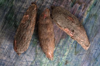 manyok kökleri Ekvator closeup 