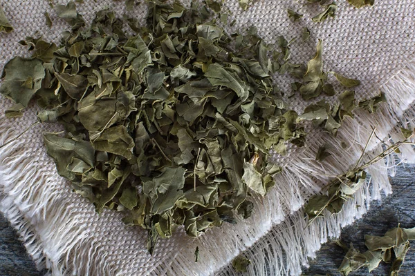 Dried Moringa Tea Closeup — Stock Photo, Image
