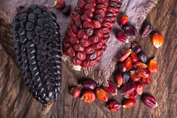 Red and black heirloom corn cobs — Stock Photo, Image