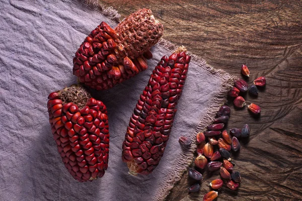 Erbstück Mais aus Ecuador — Stockfoto