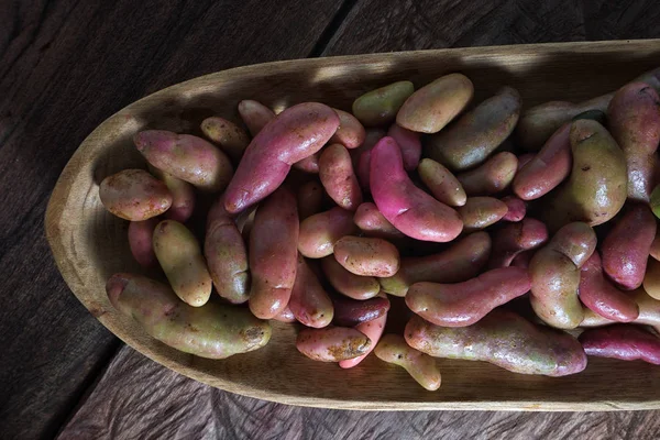 Melloco tuber närbild i Ecuador — Stockfoto