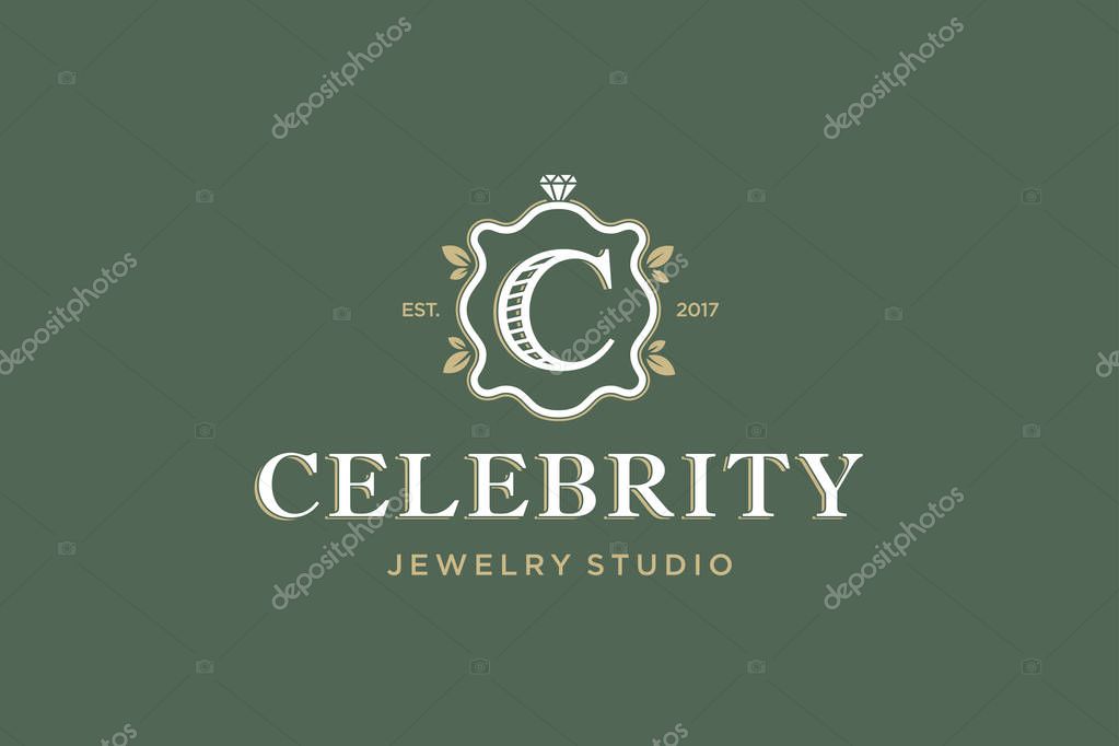 Modern vector professional logo emblem celebrity on green background.