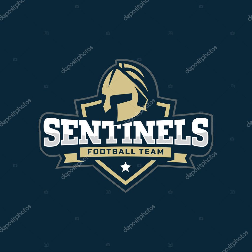Modern professional football logo for sport team.