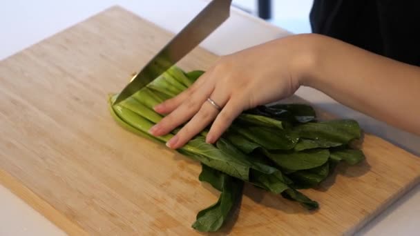 A housewife preparing spinach for dinner — 비디오