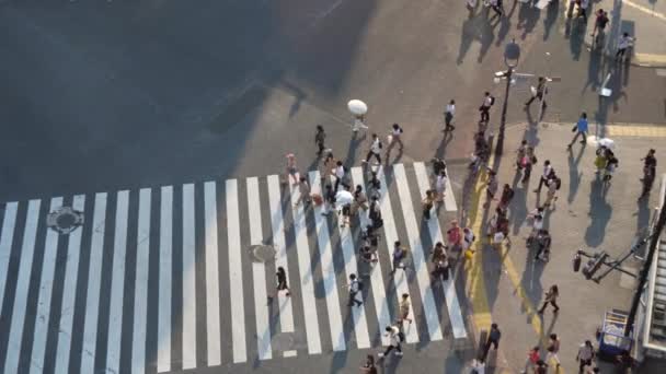 Menschen überqueren den Shibuya-Übergang am Abend in Zeitlupe — Stockvideo