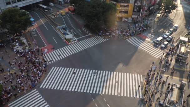 Menschen überqueren den Shibuya-Übergang am Abend in Zeitlupe — Stockvideo