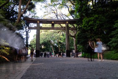 İnsanlar gün içinde Meiji Jingu Tapınağı 'nda yürüyorlar.
