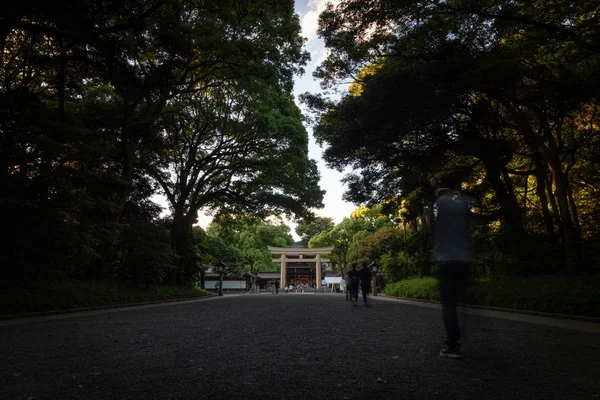 İnsanlar gün içinde Meiji Jingu Tapınağı 'nda yürüyorlar.