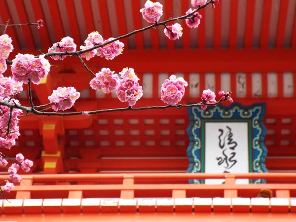 Sakura blommar framför en helgedom i Japan — Stockfoto
