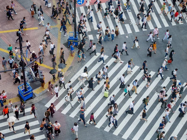 Shibuya, Japonsko - 23 9 19: Lidé přecházejí Shibuya Crossing ve večerních hodinách s kompletní přechod v pohledu — Stock fotografie