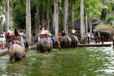 Bali, Endonezya - 29 5 19: Bir turizm beldesinde fillere binen turistler