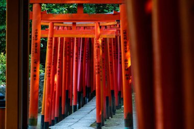 Tokyo, Japonya - 98 2019: Nezu türbesindeki kırmızı torii kemer yolları